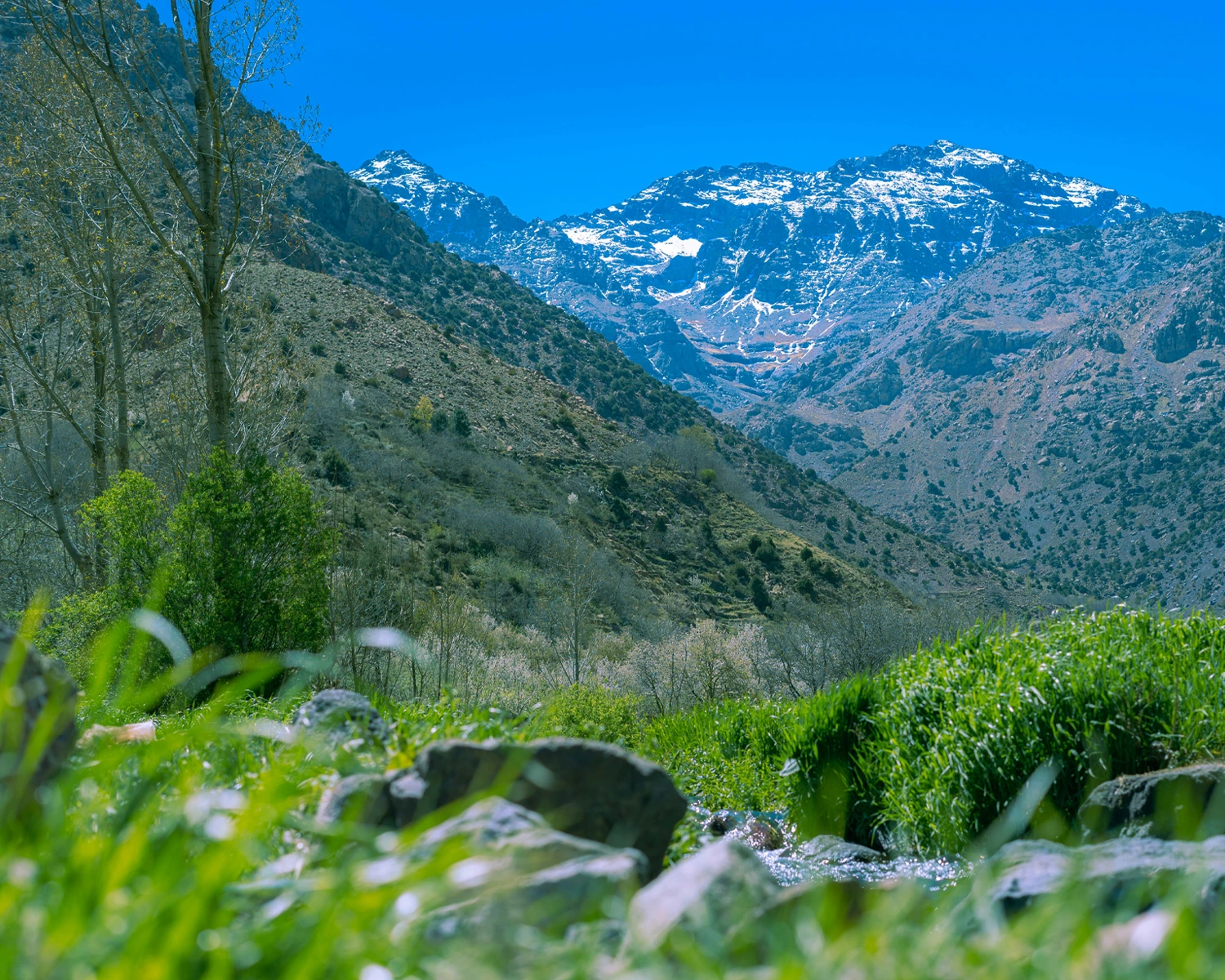 Notre histoire - Kréme